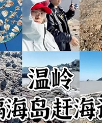 �������ɽ���Ϻ�ʧ�ܣ�������䰡