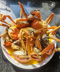 �����������14ֻ��з����з�����ֱ���ʹ