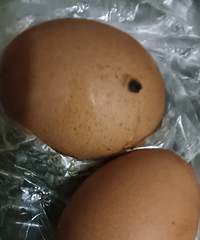 ��������ʮ���շ�˵����õļ���Խ��ԽС����ھ�û��