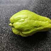 ����ʲô��