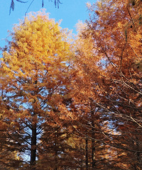 [����]���޴򿨳�̶�����֣��������յ�