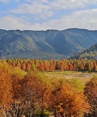 ��̶�����֣���Ʋ�����ɽ�˺������οͻ���ͦ���