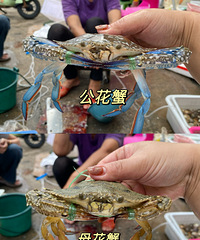 Ⱥ���г����ʵ�̯���۸�ȵ���۸����1/3