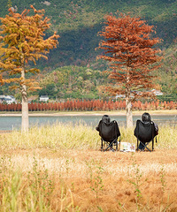 ��̶ˮ���ψ������ִ򿨣��������ǡ����족ʱ��