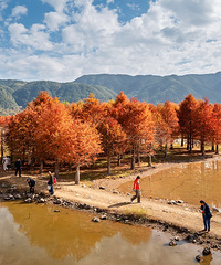 ��̶ˮ���ψ������ִ򿨣��������ǡ����족ʱ��