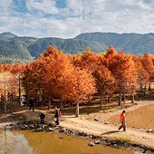 ��̶ˮ���ψ�������