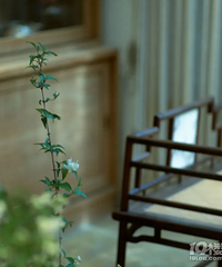 93�걾���У������ȶ��Ը�ã�ֻ��δ��δ�������첻����