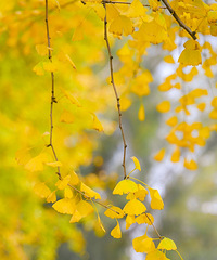 ����Ƭ���񻷡������������ڵȵ���