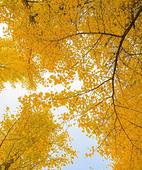 ����Ƭ���񻷡������������ڵȵ���