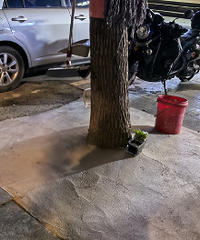 ����������ˮ�������