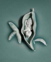 ɳ����Ҥ���ճɹ�