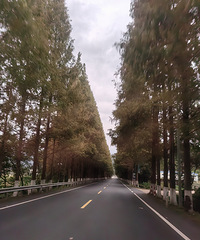 88�괦Ů���У�����·�ų���ƫ���죬��һ��90���ҵ�