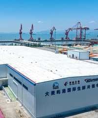 ������������ɹ�¼�룡