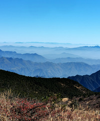 ���ڴ����ģ��ڻƸ�ɽ�ۣ�ײ���ƺ���ӿ�����ս�ɽ������