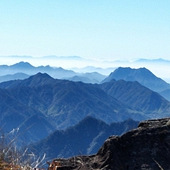 �������������֮��