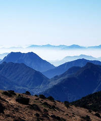 �������������֮��