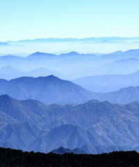 �������������֮��