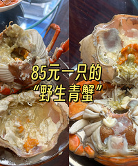 85Ԫһֻ�ġ�Ұ����з������������������·�ˣ�