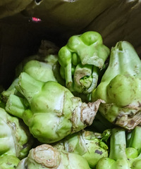 ������˵�ͷ��