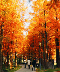 100%��Ƭ�������Щ�����򿨵㣬��Get����