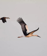 ̫������������̨�������ĵ���