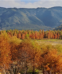 һ��һ�εĺ������ְ�������