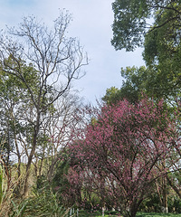 ������벻ͨ�����Դ�Ҳ�벻ͨ