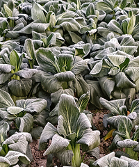 ѹ˪�Ĳ��ж�ó�