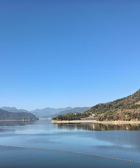 �����޶�����