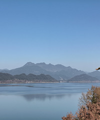 �����޶�����