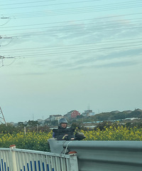 ��������12�·���̨�ݿ����Ͳ˻�