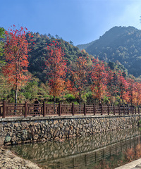 ��̨�ϻƹŵ��μǹ��ԣ�ɽ���Ϊ���ͣ���Ҫһ����������