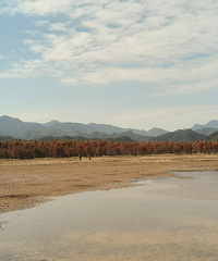 �������Զ��Ⱥɽ�Ͷ���ů���µĺ�����