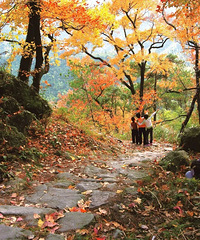 ������һ�������������ٺ������ġ����������