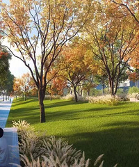 ������������ӭ���½�չ