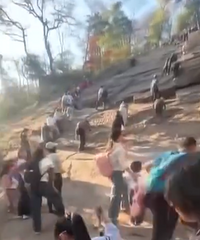 �ҳ�������Ұ��������������������������δ��������