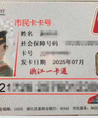 �����룡����������������