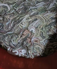 ̫�ֲ��ˣ��ⶫ��̨���˸ҳ���