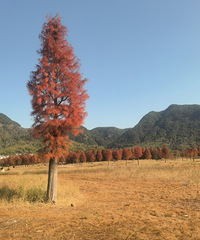 [����]��̶ˮ��ߵ���҈�������̲Ϳ��ɼ�ľ�����