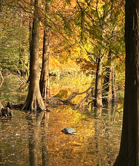 89��Ů��������Ӹ��ְ֣������ȶ���û����������