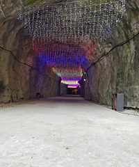 ������̶����ɭ�ֹ�԰