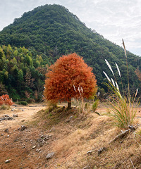 С֥Ϫ�´���ĩ�˶೵�£�ˮ��ˮԴ�������ý����������ű߸���