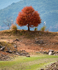 С֥Ϫ�´���ĩ�˶೵�£�ˮ��ˮԴ�������ý����������ű߸���