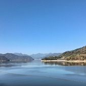 �����޶�����