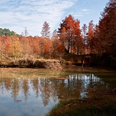 С֥������