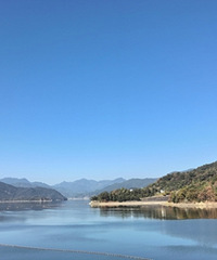 �����޶�����