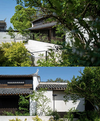 ̨�����С��ׯ������������������ʦ��