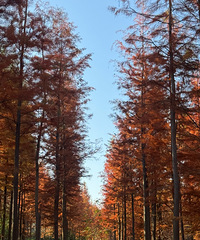 �����ψ���ɼ�֣��ͼ�һ����˾�