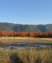 �����ψ���ɼ�֣��ͼ�һ����˾�