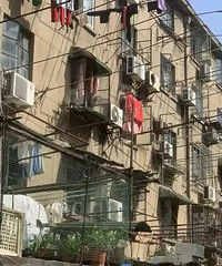 2025�������޷��滨������һ��Ǯ�Ƕ��٣�������ʲô�ˣ�